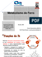 Aula Metabolismo Do Ferro 2021