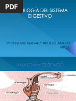 14 Patología Gastrointestinal