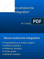 Neuro Endocrine