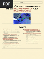 UD 3 - Aplicación de Los Principios de La Radiobiología A La Radioterapia