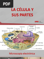 1.2 Partes de La Célula