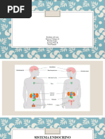 Copia de SISTEMA ENDOCRINO