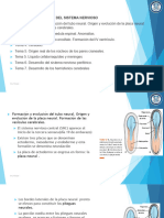 Unidad 1 Embriología Del Sistema Nervioso 43f9d80 240627 063531