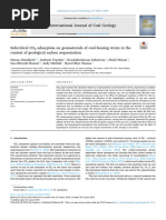 International Journal of Coal Geology