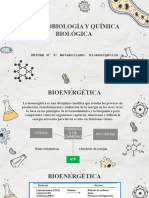 Unidad 9 Bioenergética CV