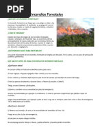 Prevención de Incendios Forestales