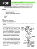 Neuro 6 - Examen de La Sensibilidad