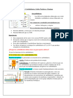 Documento Carbohidratos