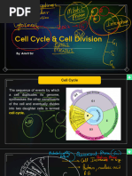 Cell Cycle Notes