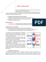 Sistema Cardiovascular - Resumo