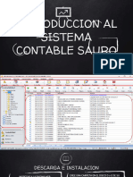 1 Presentacion Programa Contable Sauro