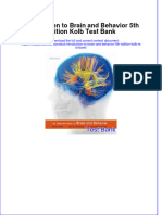 Introduction To Brain and Behavior 5th Edition Kolb Test Bank All Chapters