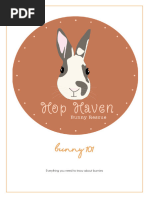 Bunny 101 Handbook