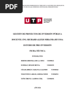 Estudio de Preinversión - Resumen