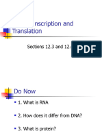 DNA Transcription and Translation GELNCOE