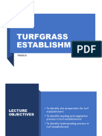 Topic 4 Turf Establishment