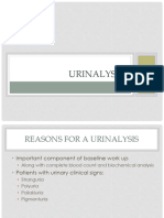 04 Urinalysis