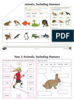 Year 1 Animals Including Humans Revision Mat Activity