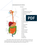 Sistem Digetivum Dan Hepar-1