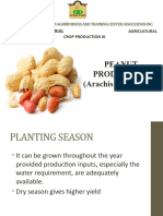 Peanut Production