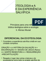 Ecoteologia e Unidade Da Experiência Salvífica (Essencial)