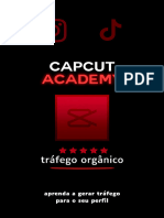 CapCut Academy