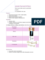 AnatomÃ - A Funcional Del Hueso