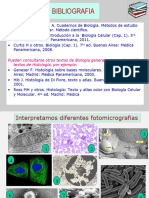 Coloraciones Topograficas y Citohistoquimicas (01!04!2924)