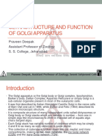 2053692417ultrastructure and Function of Golgi Apparatus