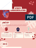 The Circulatory System Education Presentation in 0 Hand Drawn Lightly Textured Style