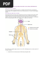 Nervous System