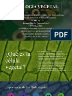 CITOLOGÍA VEGETAL Botanica