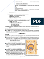 04 - EXPLORACIÓN OBSTÉTRICA y ATENCIÓN PRENATAL