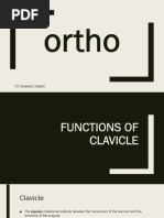 HUEVOS-Ortho Ass 4