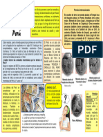 MONEDAS Y BILLETES DEL PERÚ Imagenes PDF