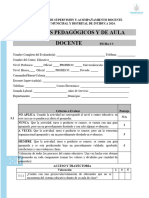 Ficha Pedagogicos y de Aula (1) 2024