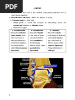 Introduction of Anatomy - Part 2