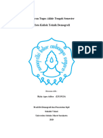 Laporan Tugas Teknik Demografi