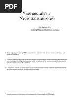 VIAS NEURALES Y NEUROTRANSMISORES RNieto Abril 2020