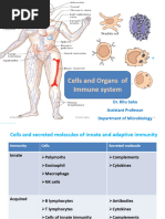 Cells of Immune System