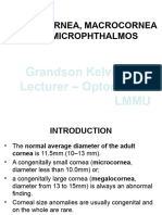 Micro Cornea Macro Cornea and Micro Ophthalmos