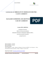 Expertise Du Dirigeant Et Croissance Des Pme Cas Du Cameroun