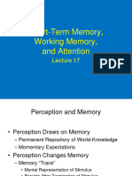 Short-Term Memory, Working Memory, and Attention