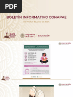 Boletín Informativo CONAPAE Del 17 Al 21 de Junio de 2024