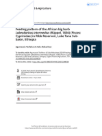 Feeding Pattern of The African Big Barb Labeobarbus Intermedius R Ppel 1836 Pisces Cyprinidae in Ribb Reservoir Lake Tana Sub-Basin Ethiopia