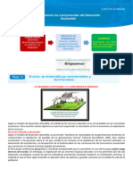 Semana 3 - Componente Economico y Ambiental