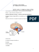 7 Sistema Nervioso
