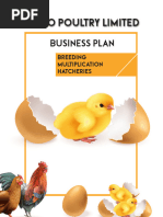 FINAL DRAFT MUDO BUSINESS PLAN - Compressed