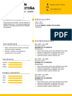 Formato Curriculum