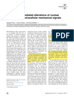 Peng Et Al. - 2022 - Cytoskeleton-Mediated Alterations of Nuclear Mecha